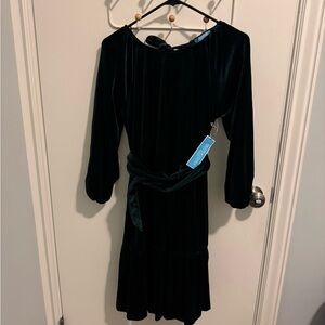 Draper James Deep Green Velvet Dress
